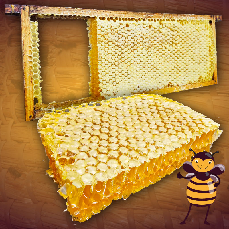 Op deze afbeelding van Raathoning op raam die je hier online kunt bestellen. Zuivere honingraat of honeycomb uit de biesbosch koop je direct bij de imker.