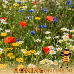 Biologisch Bloemen Mengsel Kippen Bijen Vliders