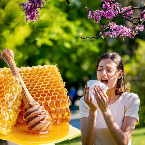 Honing tegen hooikoorts helpt de klachten verminderen. Lokale honing bevat pollen die hooikoorts klachten veroorzaken stuifmeel allergie.