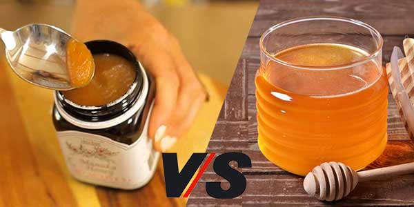 Medicinale Honing Manukahoning Versus Nederlandse Rauwe Honing