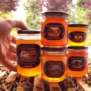 Lokale honing