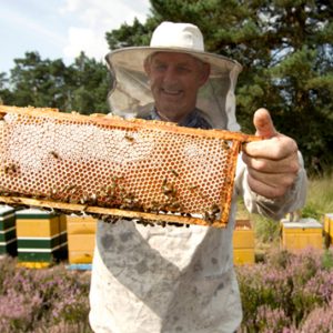 Honing van de imker NL