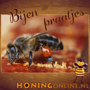 Honingbij Verzameld Propolis Kithars Voor Betere Weerstand