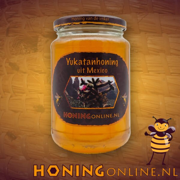 Yucatan Honing Groot Mexicaanse Honing Amerika