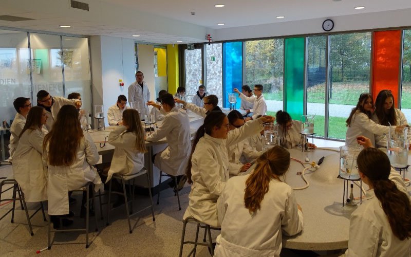 Educatief Project Honingbier Brouwen Met Heidehoning