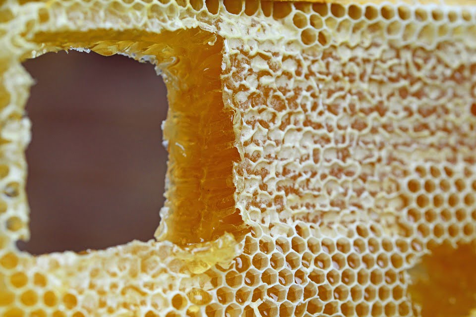 Honeycomb 347558 960 720