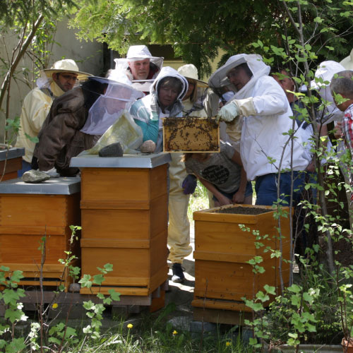 Verenigingsuitje met vrouwenvereniging imkervereniging of een andere vereniging bij de imker. Tijdens de rondleiding op de imkerij laat de imker de bijen zien en hoe ze honing maken.