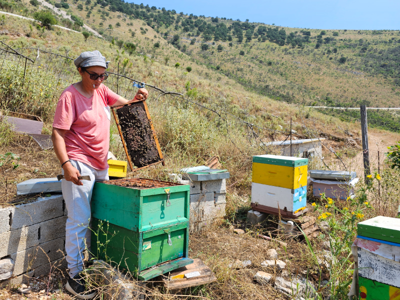 Portugese berghoning is een heerlijke kruidige EU honing uit de bergen. Deze gemengde EU honing is afkomstig van de imker uit Portugal en spanje.