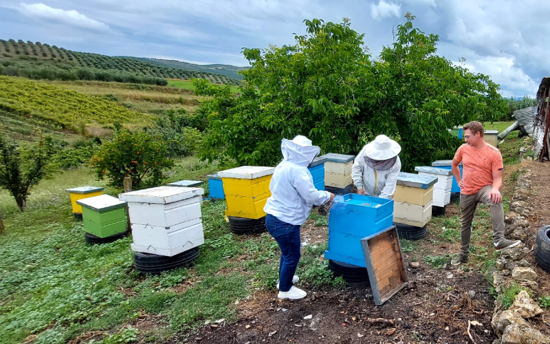Imker Gerard van De Valksche Bijenhof en HONINGonline inspecteert bij een imker op de Balkan hoe de honingkwaliteit is. De kwaliteit van deze kruidige EU honing is van uitzonderlijke klasse!