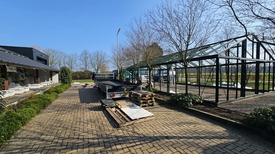 Vergaderen Tussen De Bijen In Ene Kas